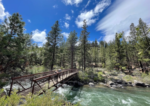 A wooden bridge spans a flowing river, surrounded by tall pine trees and a bright blue sky with scattered clouds.